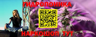 дмт Ставрополь