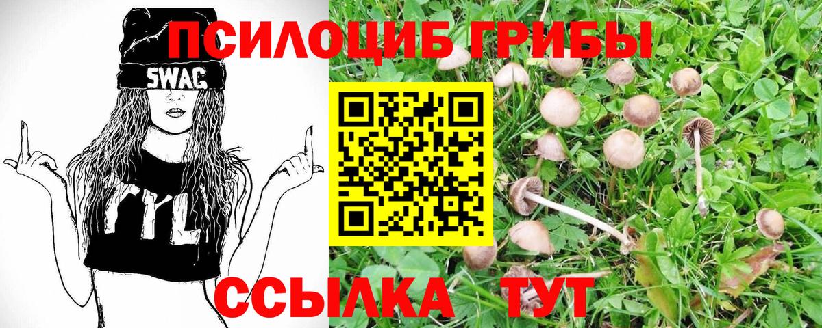 Усинск  Галлюциногенные грибы мицелий  Вход с VPN 