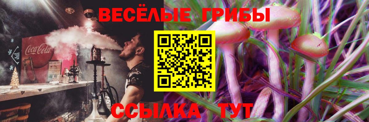 Псилоцибиновые грибы мухоморы Усинск